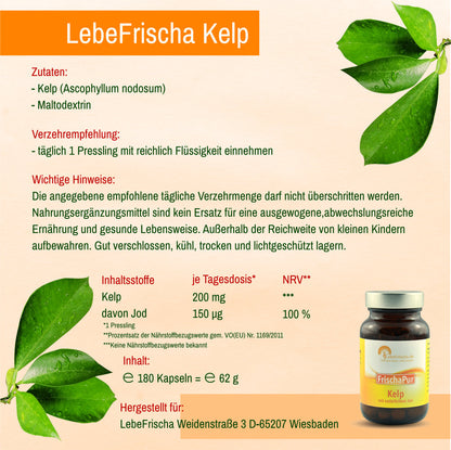 LebeFrischa Kelp | Alles auf einen Blick: Zutaten, Verzehrempfehlung, Inhaltsstoffe.